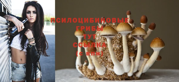 гидропоника Белокуриха