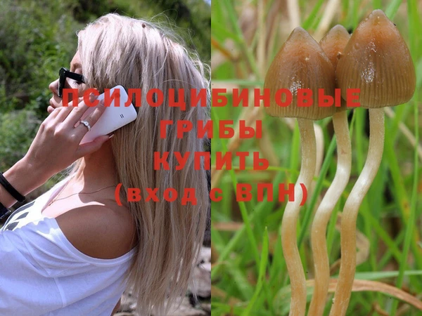 марихуана Беломорск