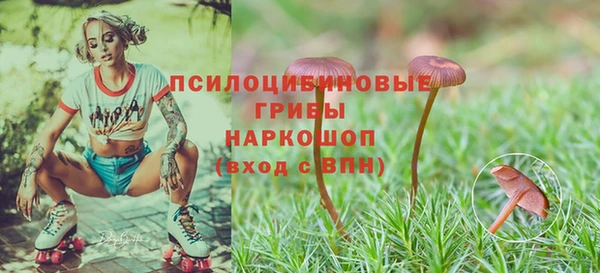 гидропоника Белокуриха