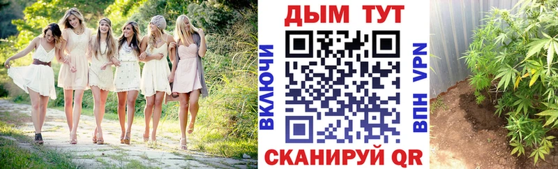 Конопля ГИДРОПОН  кракен зеркало  Вельск 